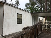 PSJ-Week 3-23, paint after rain